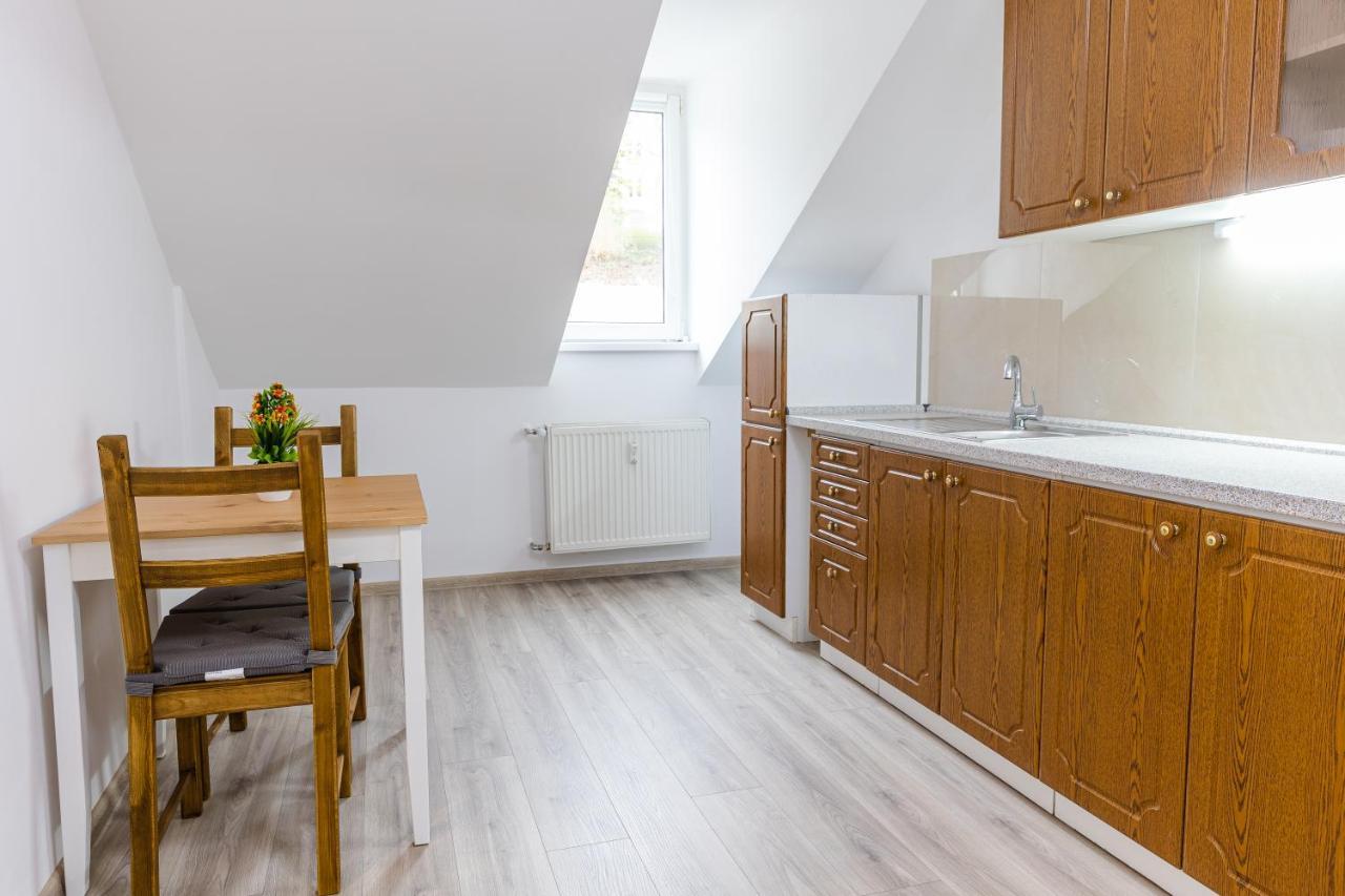 קרלובי וארי Apartment Th מראה חיצוני תמונה