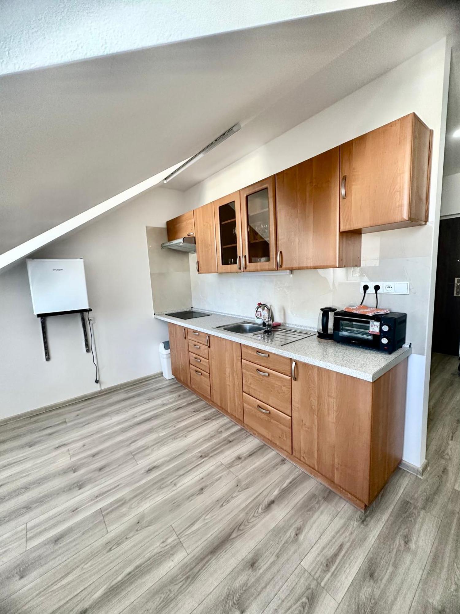 קרלובי וארי Apartment Th חדר תמונה